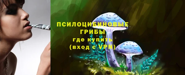 не бодяженный Арсеньев
