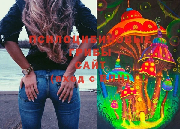 не бодяженный Арсеньев