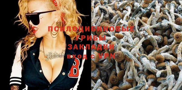 МДПВ Богданович