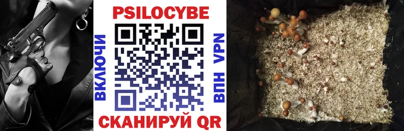 Псилоцибиновые грибы Cubensis  Судак 