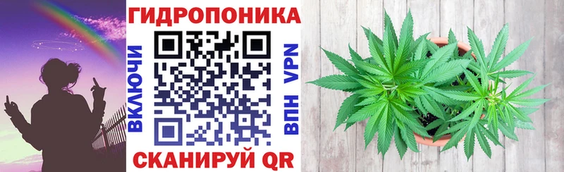 Бошки Шишки Amnesia  наркота  Судак 